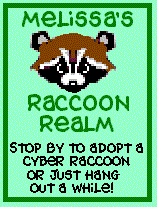 Melissa's Raccoon Realm